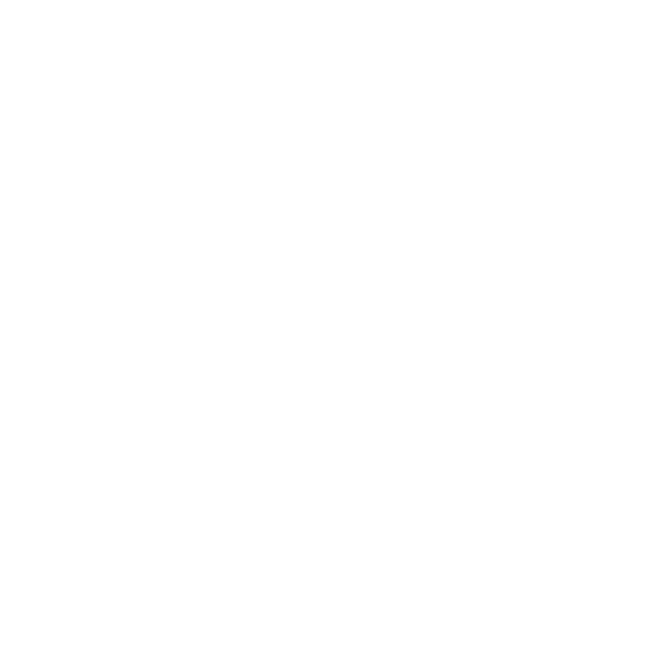 <h4 class="icon-box-title">Velocity with Discipline </h4>